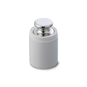 OHAUS OIML F1 WEIGHTS
